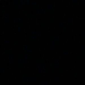 Meet your Posher, Amina